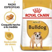 Royal Canin Bulldog Inglés Cachorro