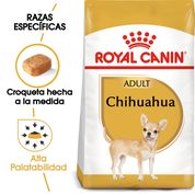 Royal Canin Chihuahua Adulto