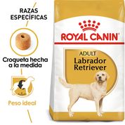 Royal Canin Labrador Retriever Adulto