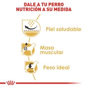 Cargar imagen en el visor de la galería, Royal Canin Pug Adulto
