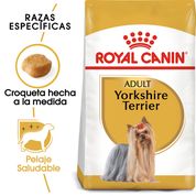 Royal Canin Yorkshire Terrier Adulto