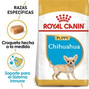 Royal Canin Chihuahua Cachorro