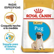 Royal Canin Pug Cachorro